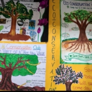 A tree planted in time...saves disasters nine
