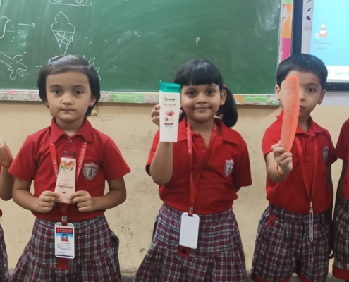 Comb,Shampoo, Toothpaste and Brush-Daily Utility Identification_