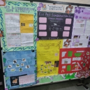 On display-Eco and Conservation Club Activities_